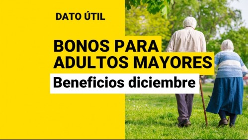 Bonos para adultos mayores: Descubre los beneficios disponibles para la tercera edad en diciembre