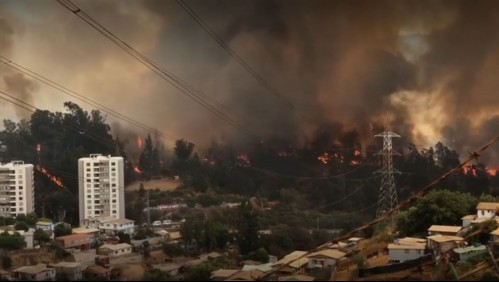 Onemi declara alerta roja: Incendio forestal en el sector del Jardín Botánico de Viña del Mar