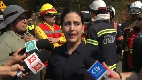 Alcaldesa de Viña hace llamado a la población por incendio: 'Las personas que están cerca deben tener las cosas listas'