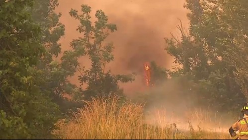 Balance Onemi: Diez comunas mantienen incendios forestales activos