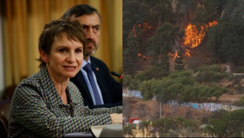 Tohá sostiene reunión con Onemi por incendios y llama a 'seguir instrucciones de autoridades en situaciones de riesgo'