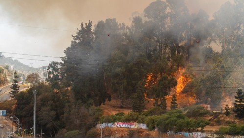 Hay más de 40 incendios forestales a nivel nacional: ¿Qué comunas permanecen en Alerta Roja?