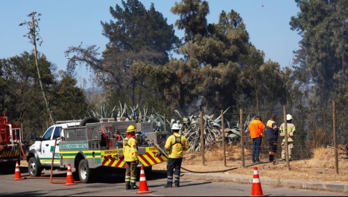 'Aparentemente fue intencional': Conaf por gigantesco incendio en Jardín Botánico de Viña del Mar