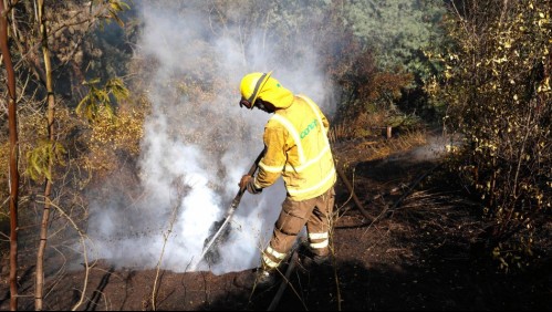 Balance de incendios forestales: Bajan cantidad de comunas en Alerta Roja