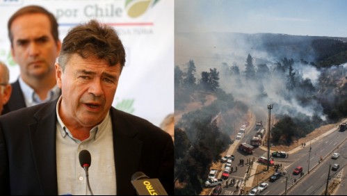 Ministro de Agricultura se refiere a presuntos responsables de incendios forestales: 'Son criminales mentales'