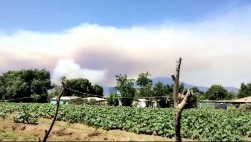Alerta Roja por gran incendio forestal en Curacaví: Amenaza a sectores poblados e infraestructura crítica