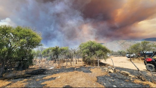 Incendio forestal en Curacaví: Humo obliga a suspender las clases para este jueves en Lampa