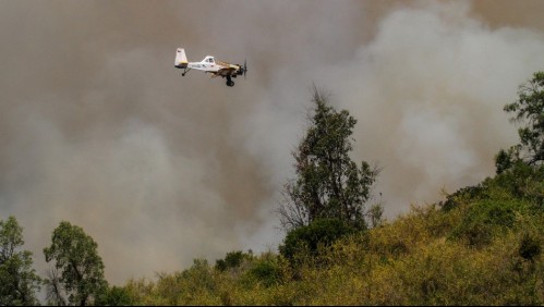 Conaf confirmó que tres de los incendios forestales ocurridos esta semana fueron por culpa del tendido eléctrico