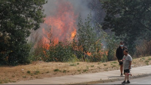 'Botón rojo' para este jueves por incendios y altas temperaturas: Conaf enfoca trabajos en 'protección de las casas'