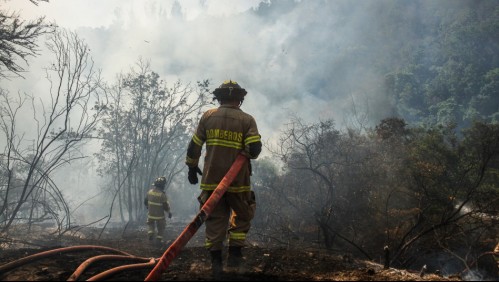 Informe Onemi por últimos incendios forestales: Siniestro en Curacaví se extendió a región de Valparaíso