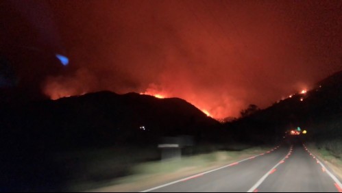 Incendios forestales en zona central: 2500 hectáreas quemadas, doce casas afectadas y cuatro bomberos lesionados