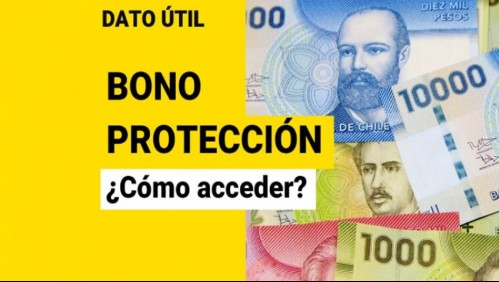 Bono de Protección: ¿Cómo acceder al beneficio?