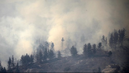 Onemi declara alerta roja para dos comunas por incendios: En una de ellas las llamas están cerca de 'sectores habitados'