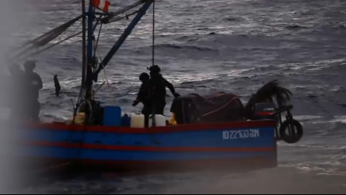 Tras las pistas de los piratas del tiburón chileno: En esto consiste millonario 'negocio' por pescadores peruanos