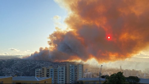 Incendio forestal en Viña del Mar: Onemi evacúa sector alto de la ciudad