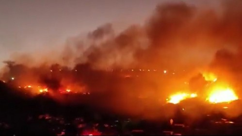 Videos muestran intensidad del fuego en incendio forestal de Viña del Mar