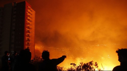 Confirman al menos una víctima fatal por incendios en Viña: Investigan un segundo caso