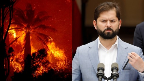 Estado de catástrofe por incendio en Viña del Mar: ¿Qué significa la medida adoptada por el Presidente?
