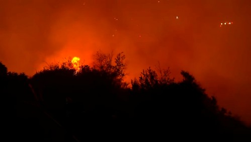 Cerca de 500 casas han sido afectadas por incendio forestal en Viña del Mar: Estiman que cifra aumentaría