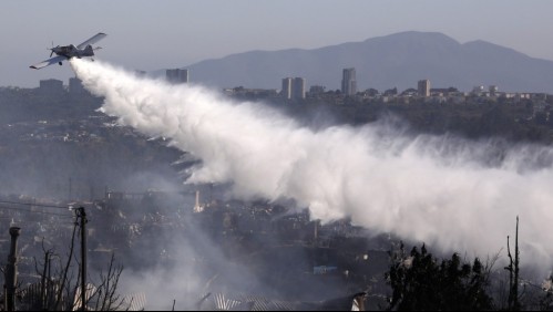 Conaf confirma que incendio en Viña del Mar 'es de origen humano' y pide 'apoyo' a la ciudadanía