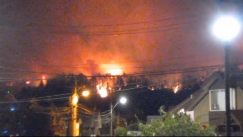 Incendios forestales han amenazado toda la noche a viviendas en Chiguayante y San Pedro de la Paz