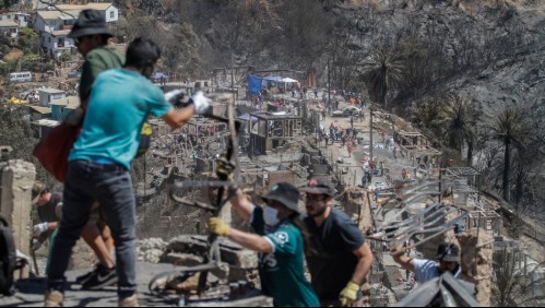 Incendio en Viña del Mar: Vecinos denuncian toma de terrenos en zonas quemadas