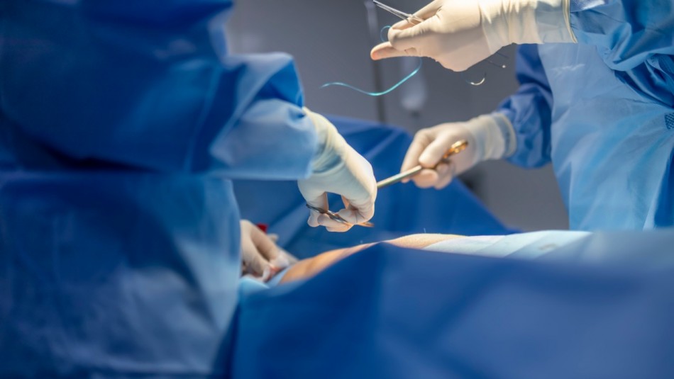 Referencial Shutterstock