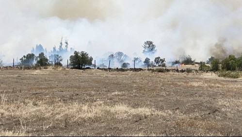 Alerta Roja en Los Ángeles y Laja por incendio forestal: Fuego amenaza sectores poblados