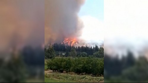 'Presenta un comportamiento extremo': Gran incendio forestal afecta a Isla de Maipo