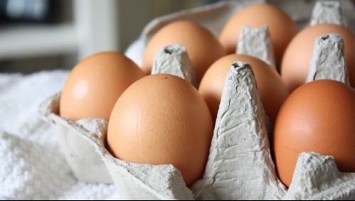 Esta es la forma de saber si un huevo está malo, incluso sin abrirlo