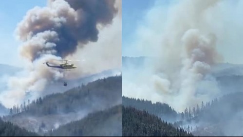 Incendios forestales en La Araucanía y Biobío: Onemi solicita evacuar varios sectores por amenaza del fuego
