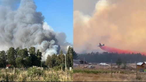 Más de 5 mil hectáreas afectadas: Onemi entrega balance por incendios forestales en Biobío y La Araucanía