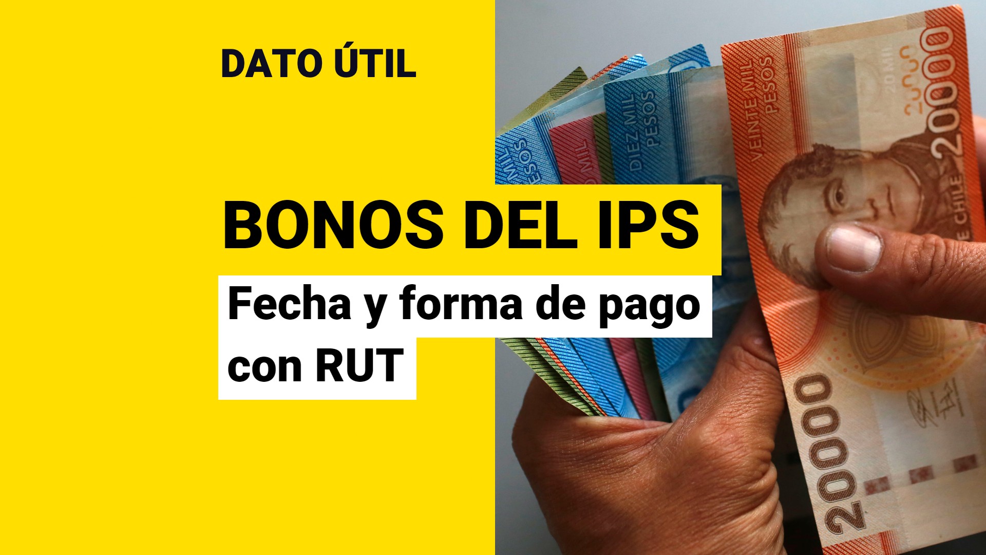 Bonos Del IPS: Revisa Con Tu RUT Cuándo Es La Fecha Y Forma De Pago ...