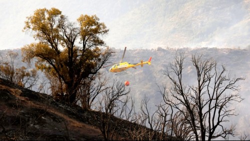 Fue sorprendido por drones: Detienen a hombre mientras iniciaba incendio forestal