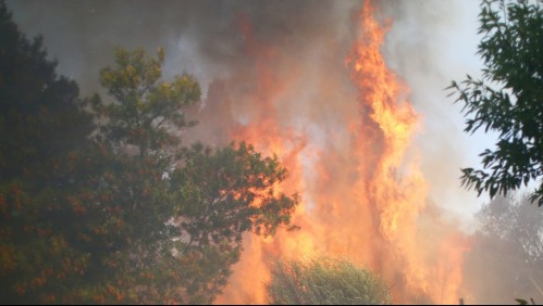 Declaran Alerta Roja en Nacimiento por incendio forestal que amenaza a viviendas