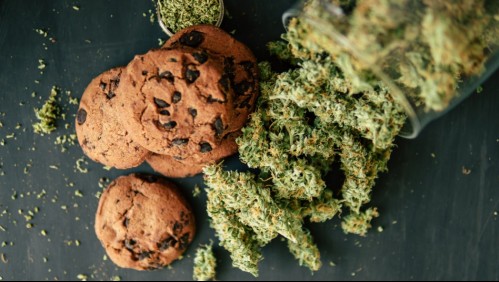 En galletas y chocolates: Aumenta número de niños que comen por accidente productos con cannabis en EEUU