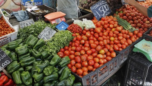 Ayudas sociales anunciadas por el Gobierno: ¿Por qué no generarán inflación en Chile?