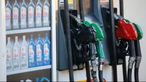 Buscan que precios de las bencinas varíen cada tres semanas: ¿En qué consiste el proyecto?