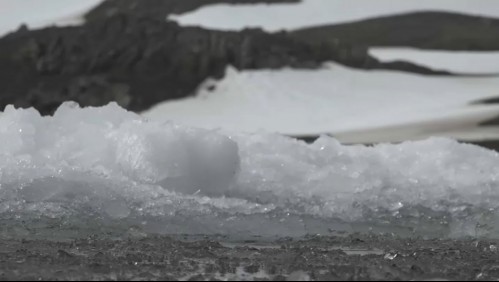 Debido al cambio climático: Preocupación genera el deshielo de los glaciares en la Antártica
