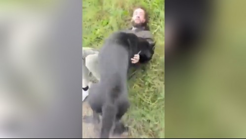 Lo atacó con dos perros: Padre se hizo pasar por su hija de 12 años para encontrarse con supuesto pedófilo