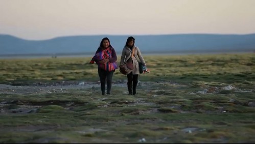 Ingresan migrantes por la noche y les ofrecen traslado a Santiago: El modus operandi de los 'coyotes' en la frontera