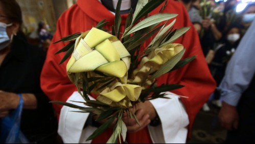 Es viudo y padre de 3 hijos: Profesor de biología es ordenado sacerdote a los 75 años en Valparaíso