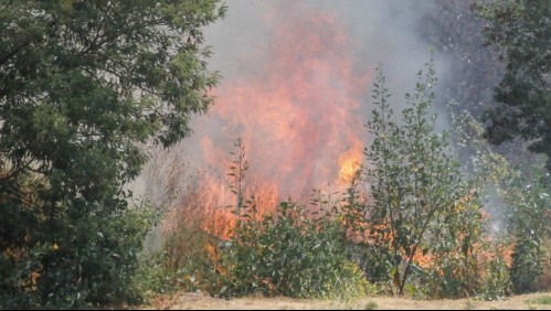Alerta Roja en San Ignacio por incendio forestal que amenaza a viviendas