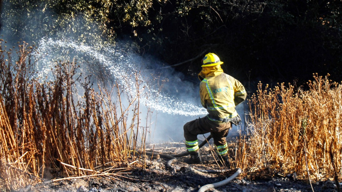 Declaran Alerta Roja En Lebu Por Incendio Forestal Que Amenaza A Sectores Habitados Meganoticias 2832