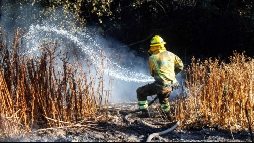 Declaran Alerta Roja en Lebu por incendio forestal que amenaza a sectores habitados