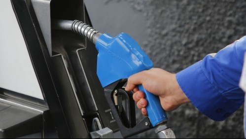 Empresa de combustible chilena se asocia a compañía de Elon Musk: ¿Qué proyectos ejecutarán?