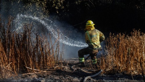 Declaran Alerta Roja en comuna de la región Metropolitana por incendio forestal que 'amenaza a sectores poblados'