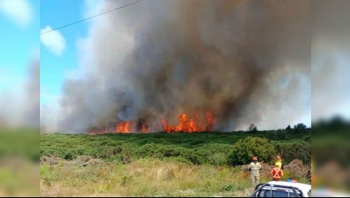 Piden evacuar sector de Puerto Montt por incendio forestal que amenaza viviendas