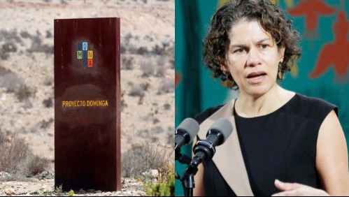 Proyecto Dominga: Presentan recurso de protección para inhabilitar a Maisa Rojas de Comité de Ministros