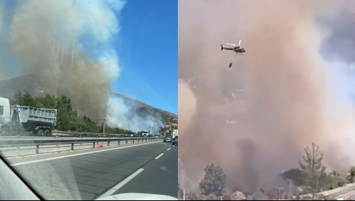 Decretan Alerta Roja por incendio forestal que amenaza sectores poblados en Curacaví